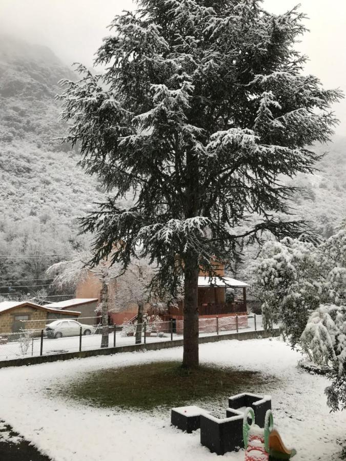 Appartement Tarascon Sur Ariege ภายนอก รูปภาพ
